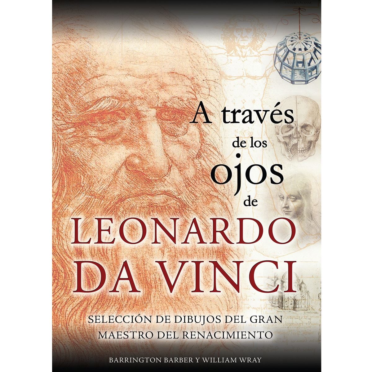 A través de los ojos de Leonardo Da Vinci