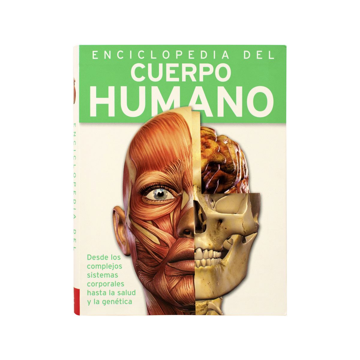 Enciclopedia Del Cuerpo Humano