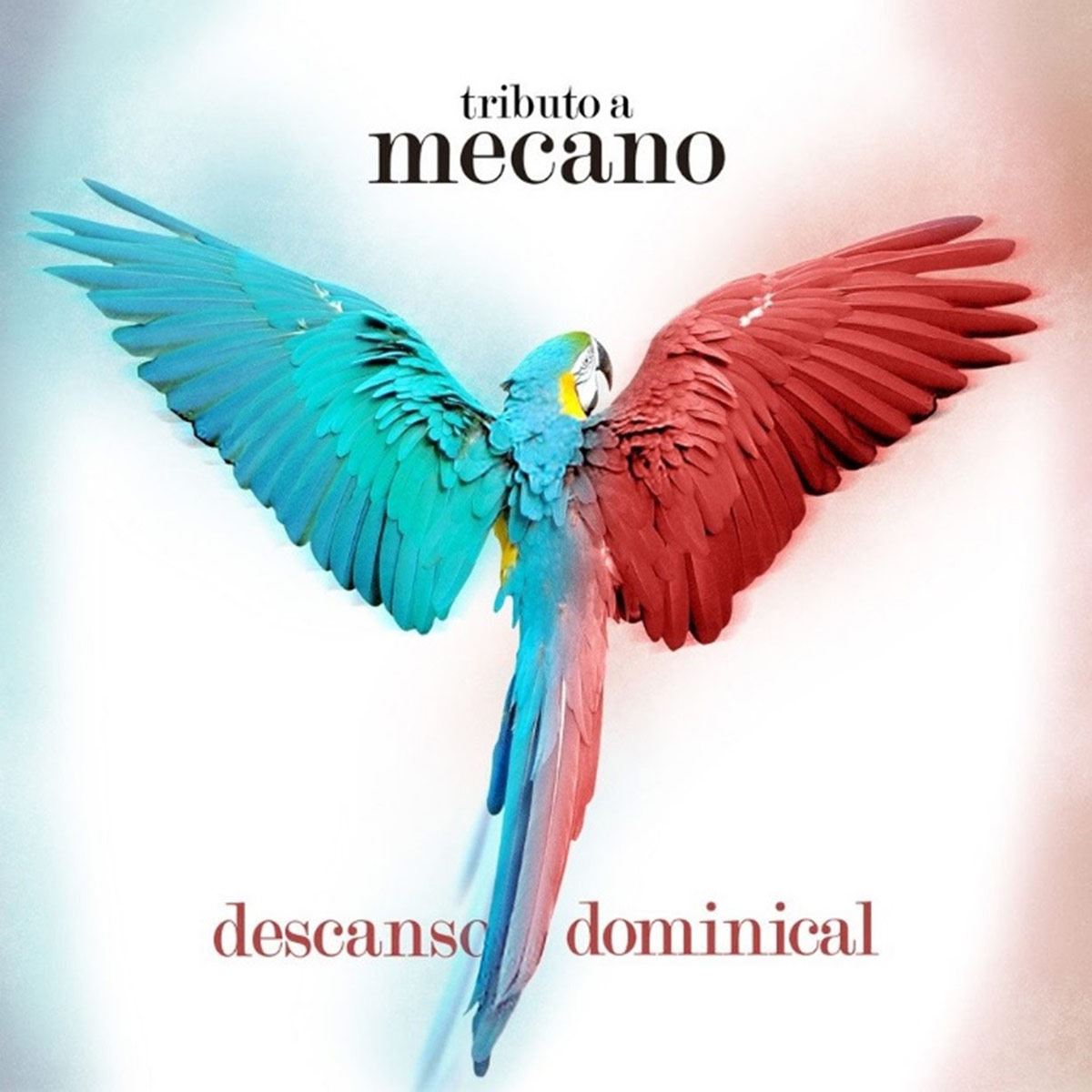 Cd Tributo A Mecano- Descanso Dominical