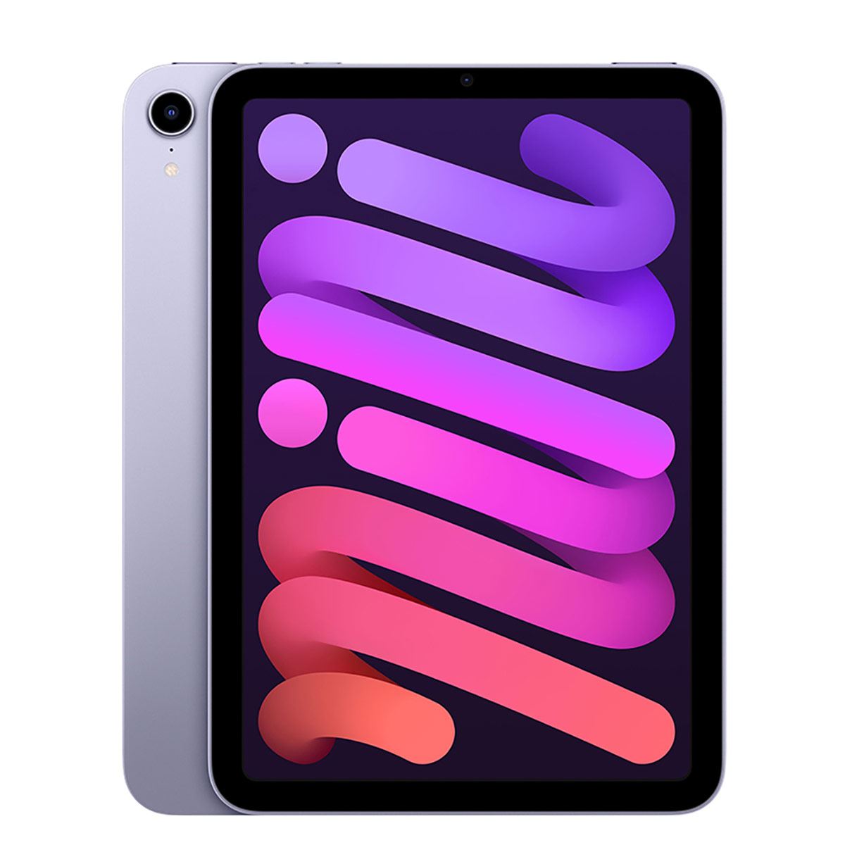 Ipad Mini Wi-fi 64GB Lila