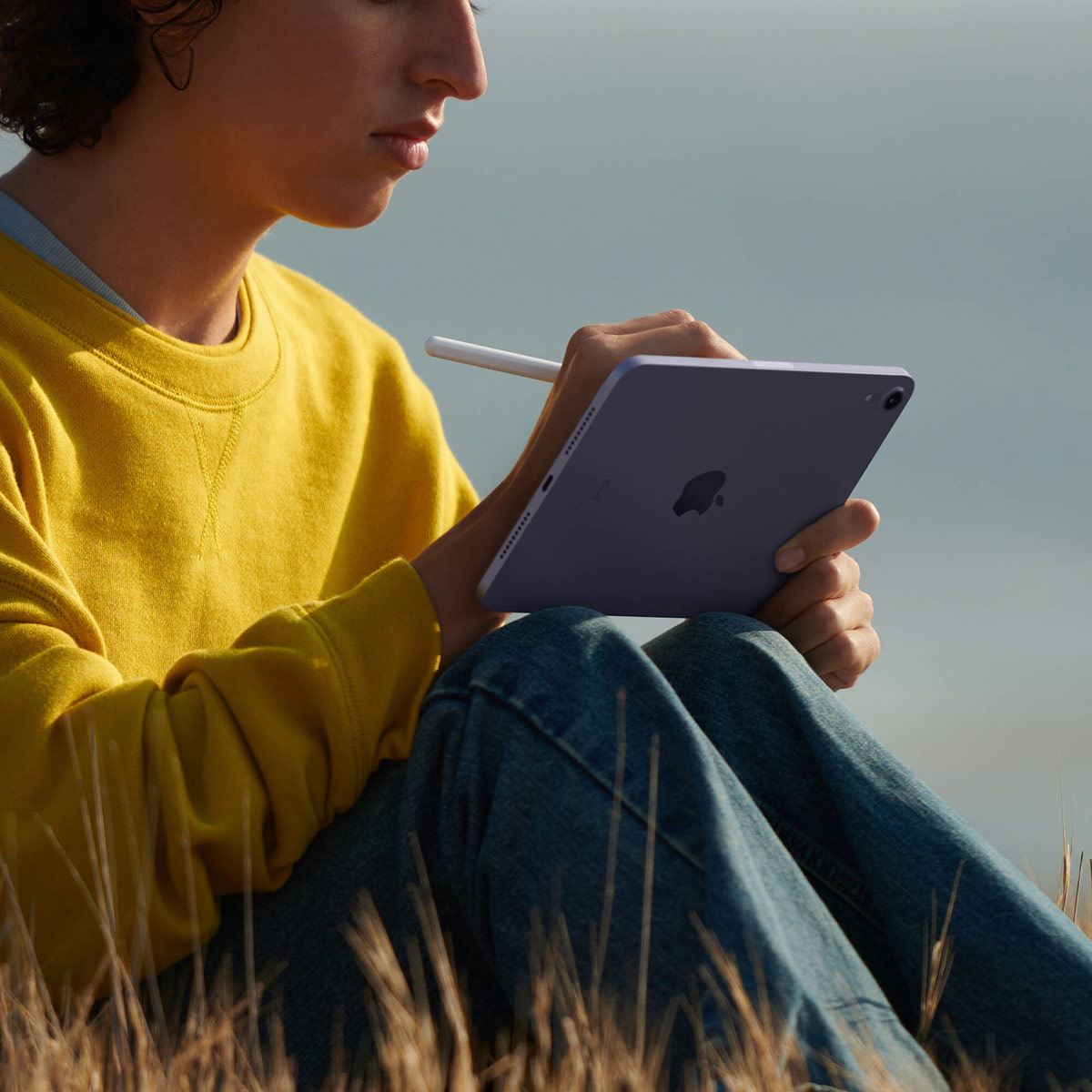 Ipad Mini Wi-Fi 256GB Morado 6ta Gen