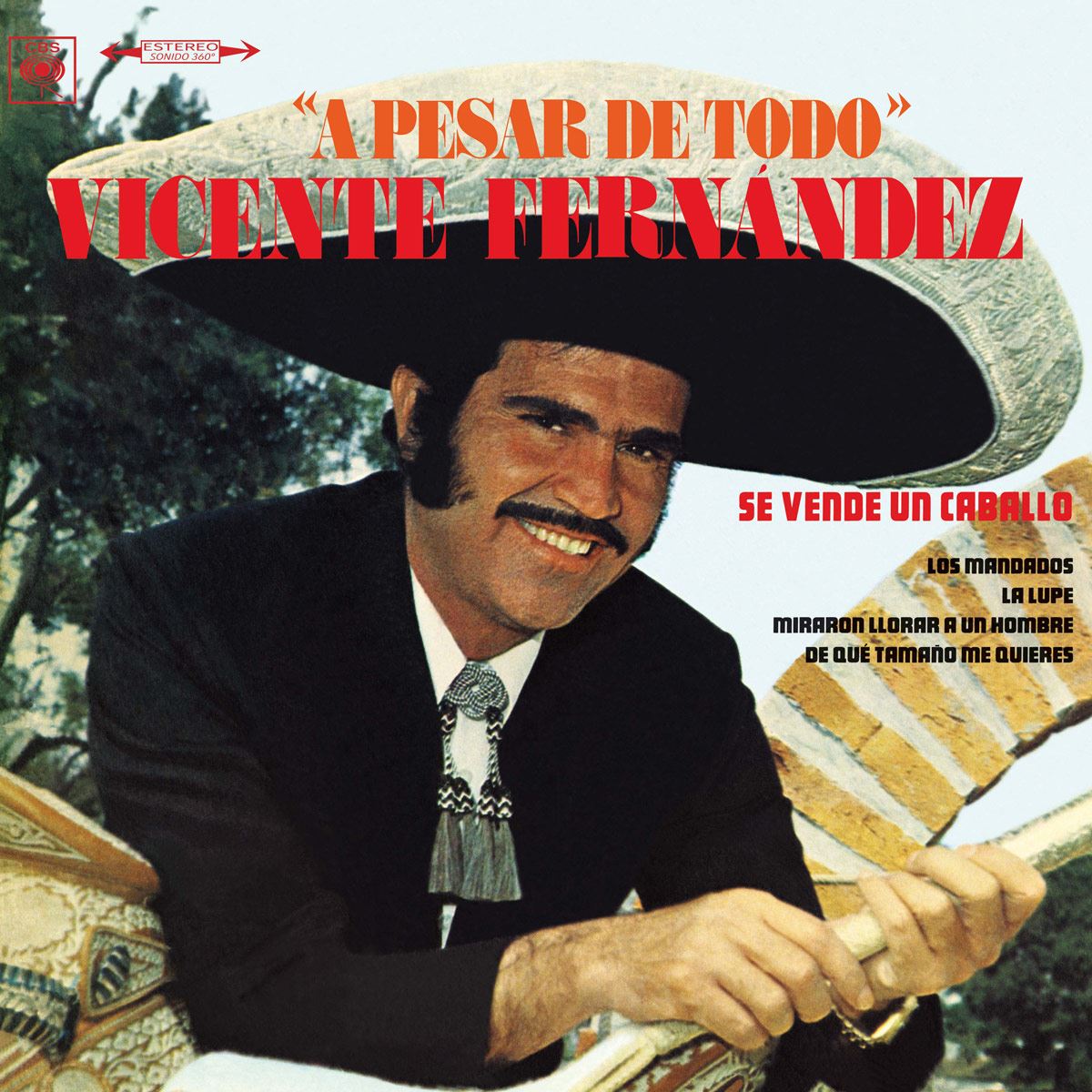 LP Vicente Fernández - A pesar de todo
