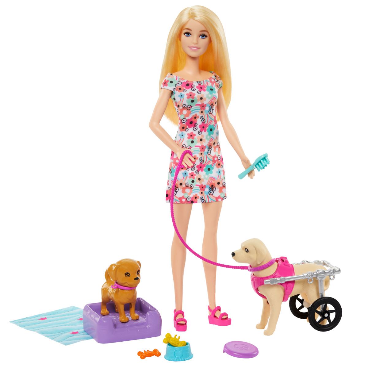 Barbie - Set de Juego Paseo de Perrito con Silla de Ruedas