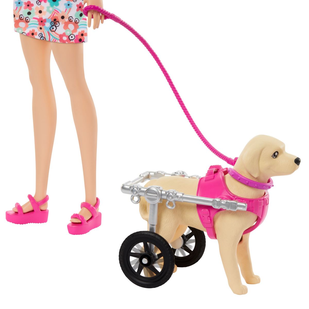 Barbie - Set de Juego Paseo de Perrito con Silla de Ruedas