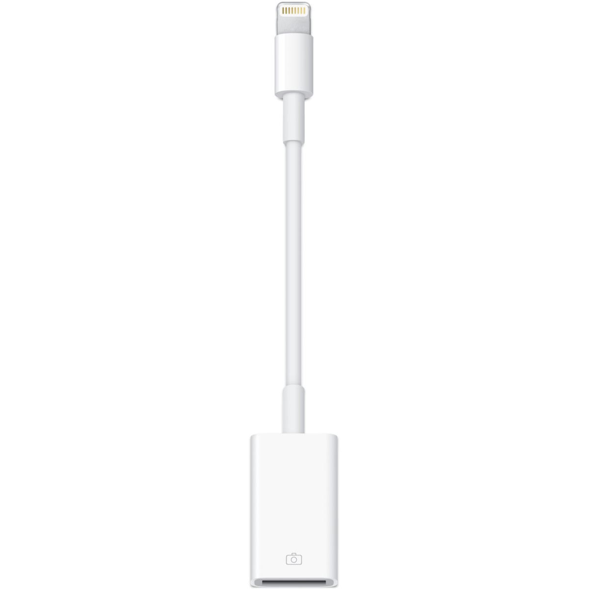 Apple Adaptador Lightning - Usb