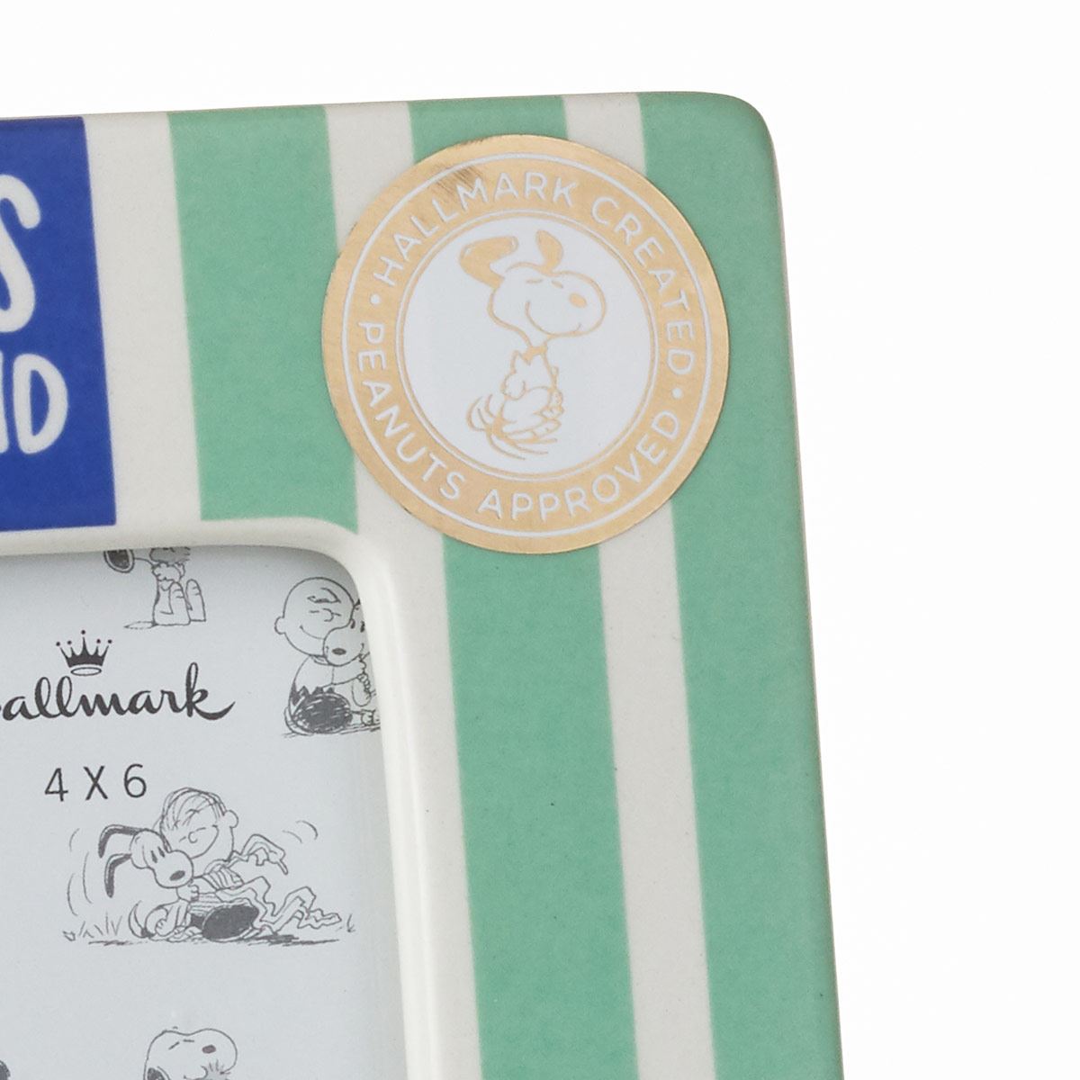 Marco Para Foto de Snoopy y Woodstock