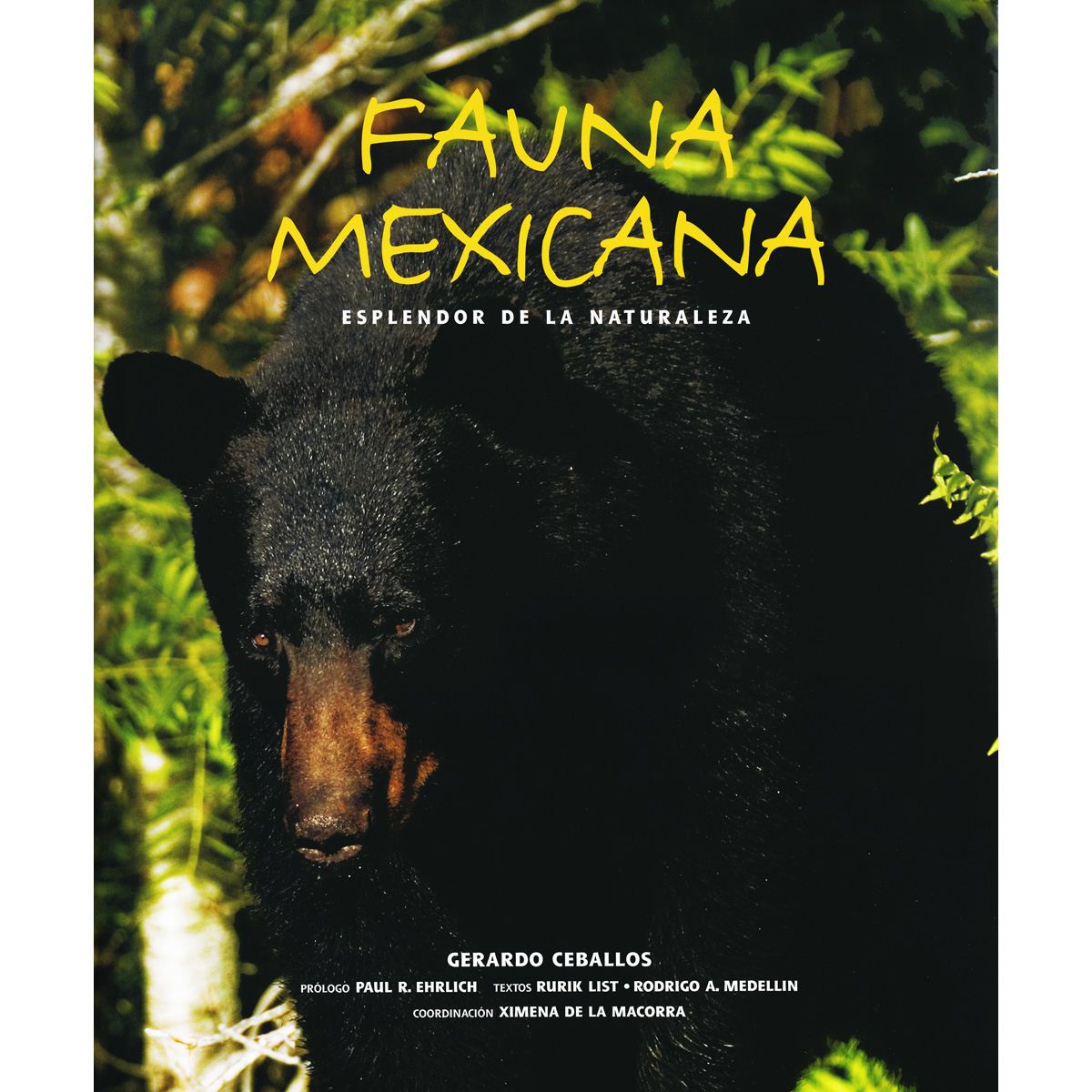 Fauna Mexicana Esplendor De La Naturaleza