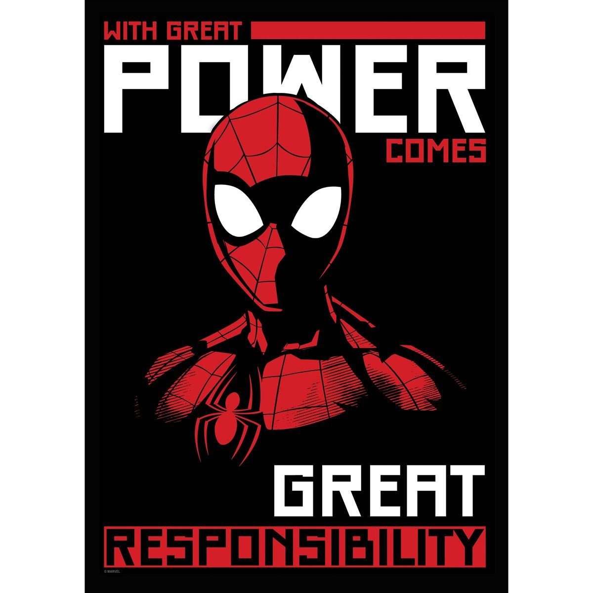 Placa de adorno great power spider&#45;man