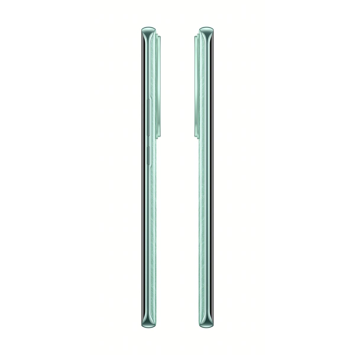 Celular Oppo Reno11 5G 256GB Color Verde R6 (Telcel)