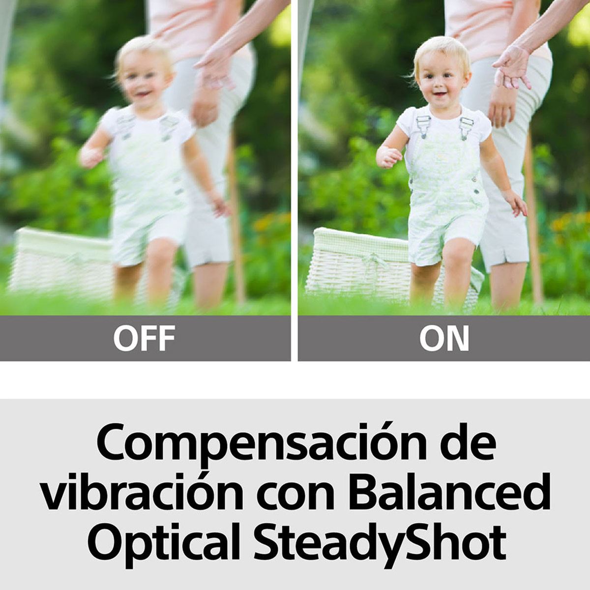 Videocámara Sony FDRAX53