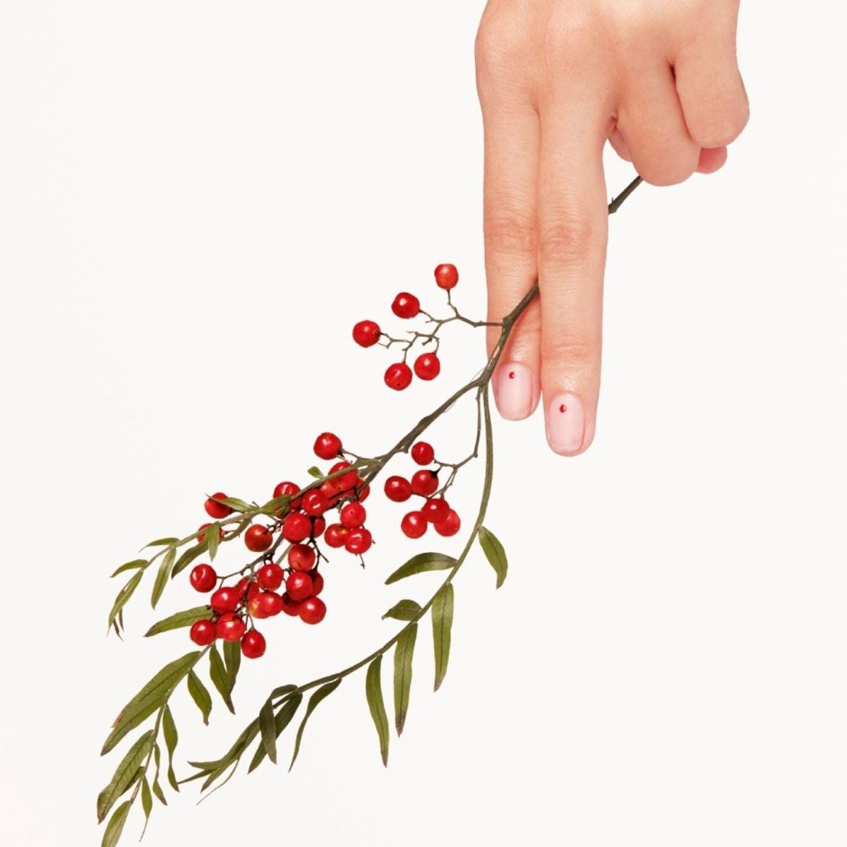 Perfume para mujer Flower by Kenzo Eau de Toilette 50 ml