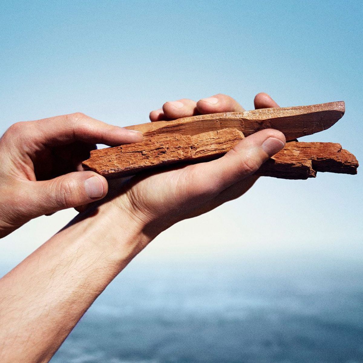 Kenzo Fragancia masculina Kenzo Homme Rau de Toilette Intense