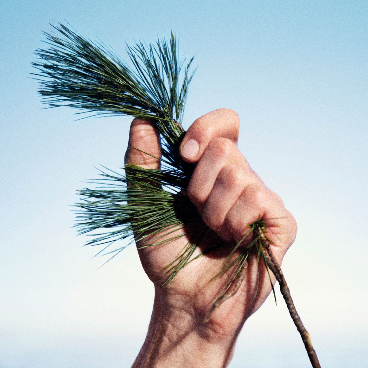 Fragancia para hombre Kenzo Homme Eau de Toilette 110 ml