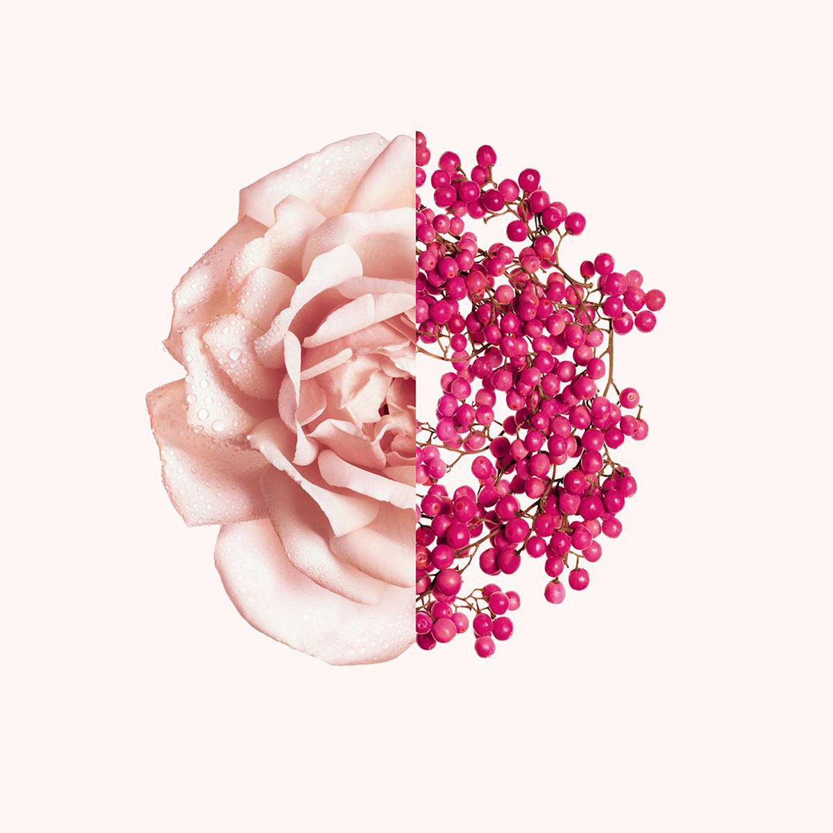 Gv Irr Edt Fraiche 80ml