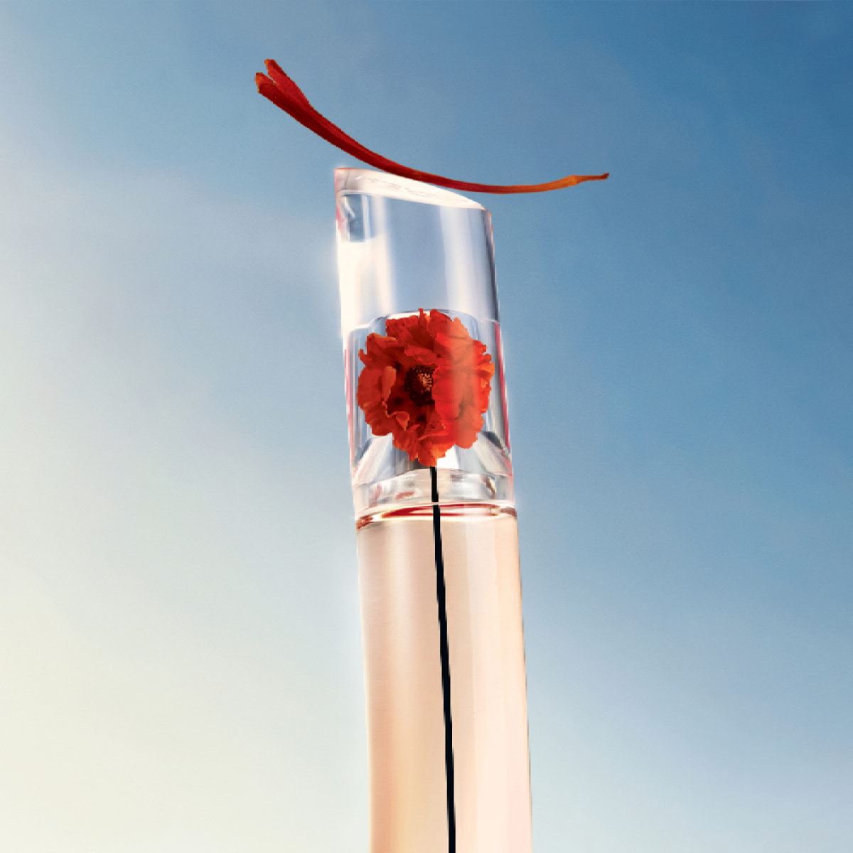 Fragancia para mujer Flower by Kenzo L' Absolue Eau de Parfum