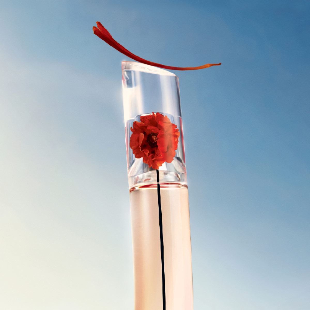 Fragancia para mujer Flower by Kenzo L' Absolue Eau de Parfum