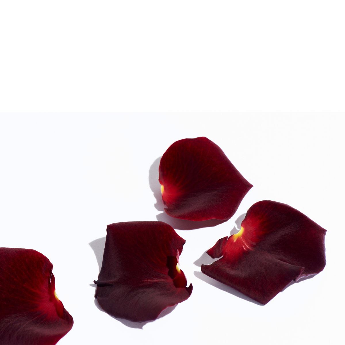 Fragancia para caballero, Paco Rabanne, 1 Million EDT 200ML