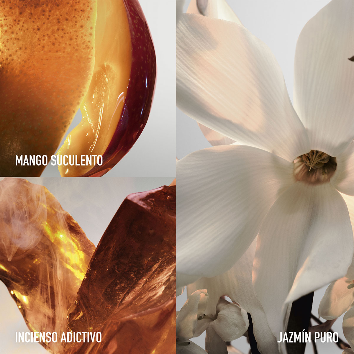 Perfume para Mujer Paco Rabanne Fame EDP 200ml