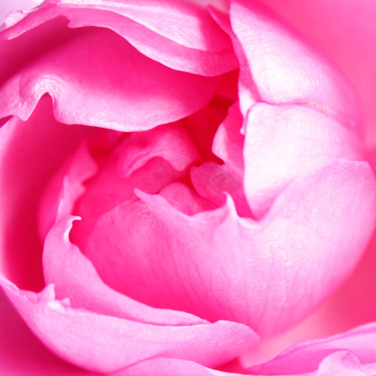 Coach Dreams Sunset Edp 90 Ml