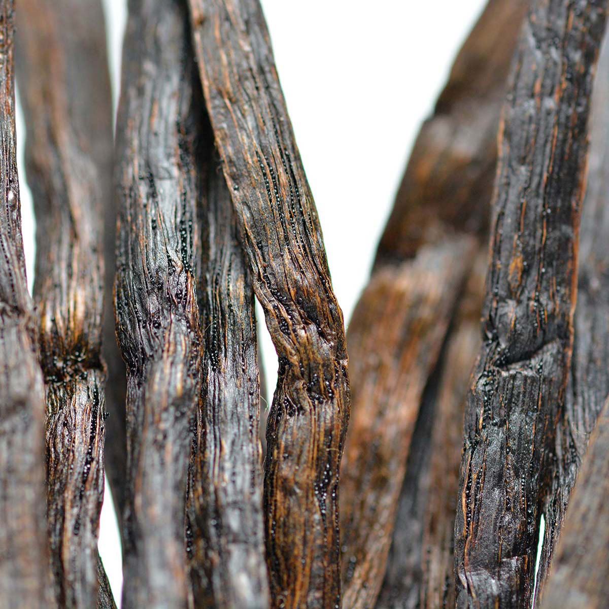 Coach Dreams Sunset Edp 90 Ml