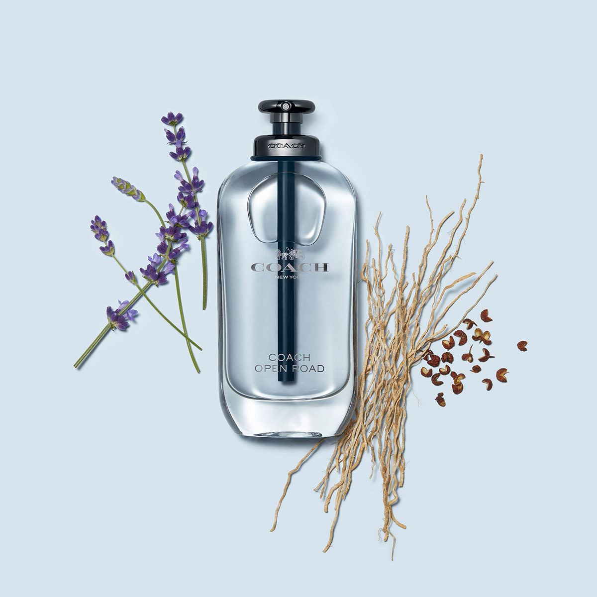 Coa Man Open Road Edt 100 ml