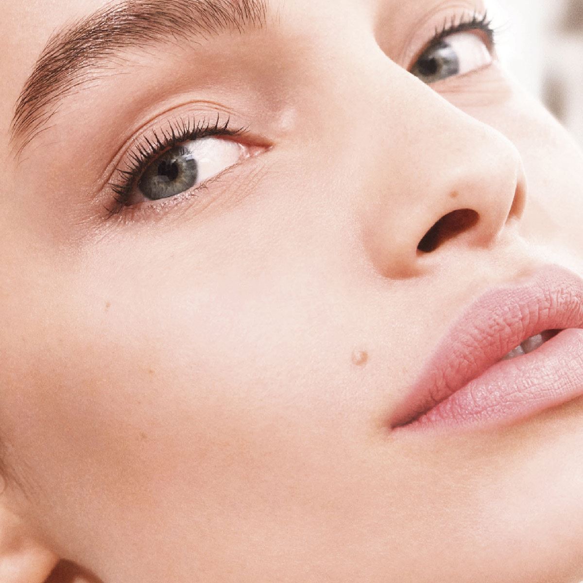 Base de Maquillaje L'Oréal París Larga Duración Infallible24h Tono 130 True Beige