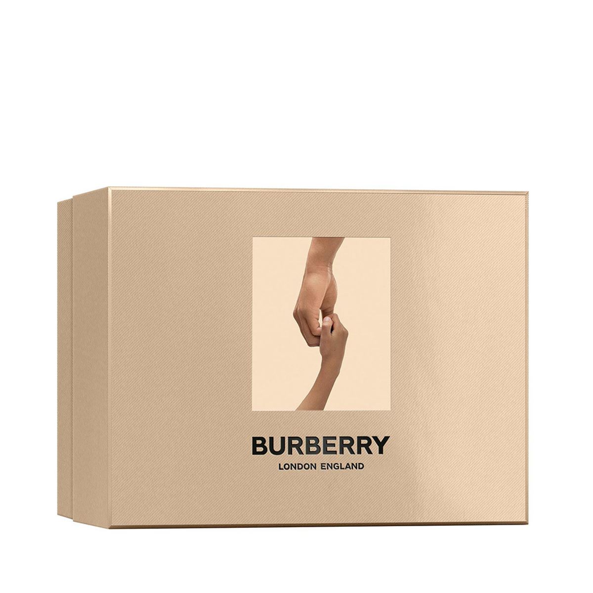 Burberry descargar 2024 libros gratis