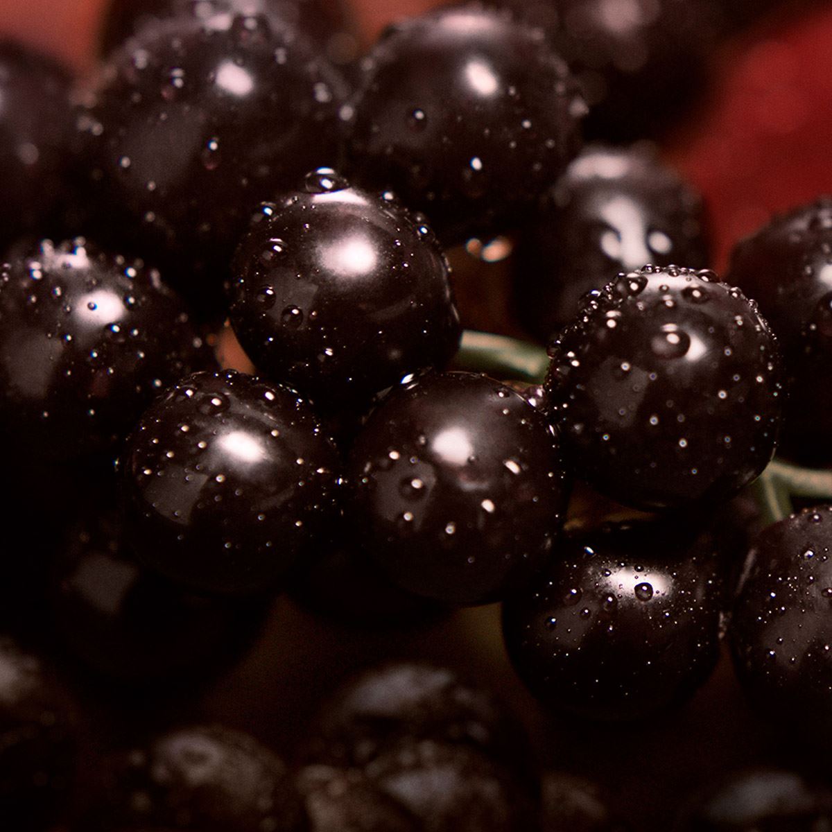 Fragancia para Mujer Calvin Klein My Euphoria EDP 100ml