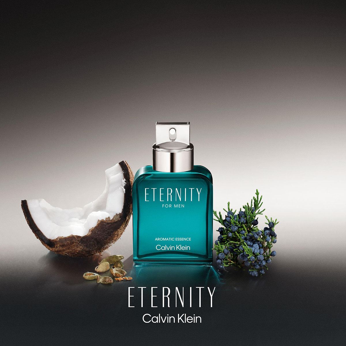 Fragancia para Hombre Calvin Klein Eternity Aromatic Essence EDP 100ml