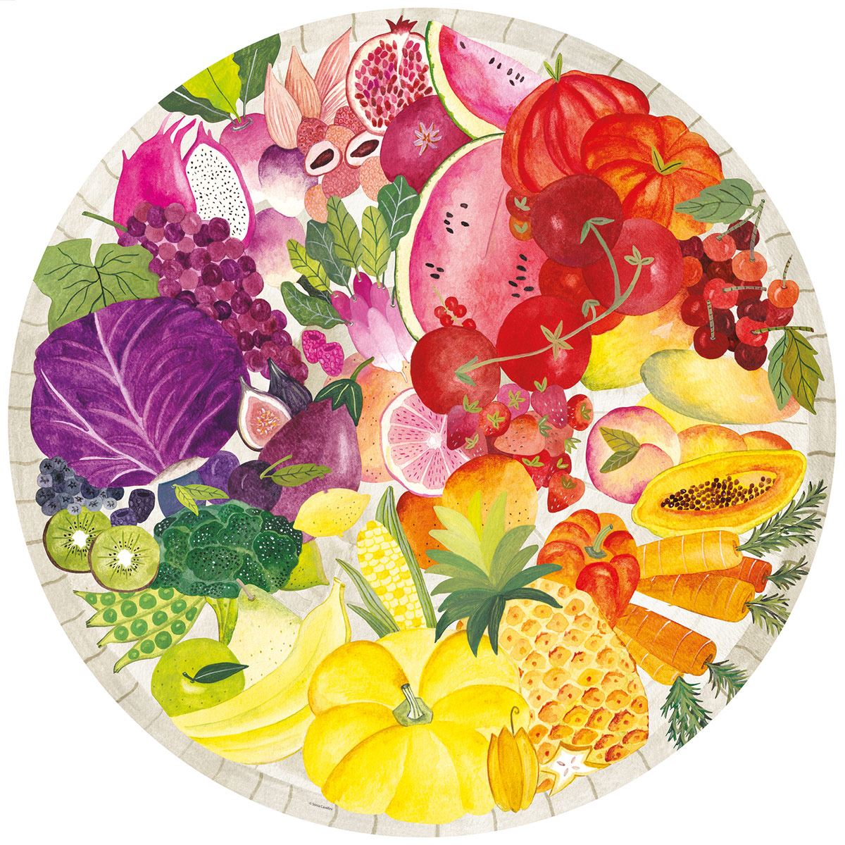 Rompecabezas Círculo Frutas de Colores 500 piezas