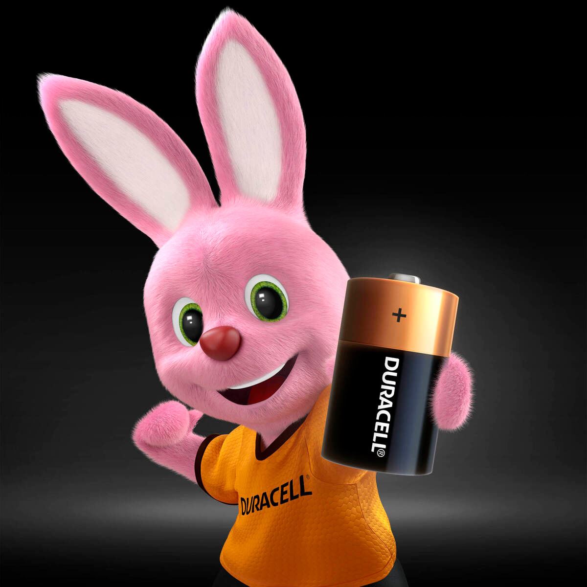 Pila Duracell Alcalina D con 2