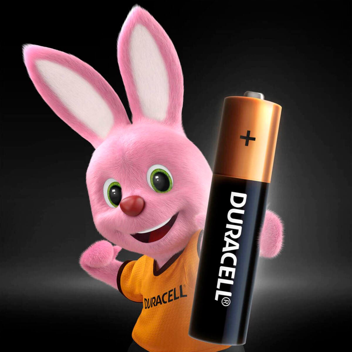 Pila Duracell Alcalina AAA con 4 piezas