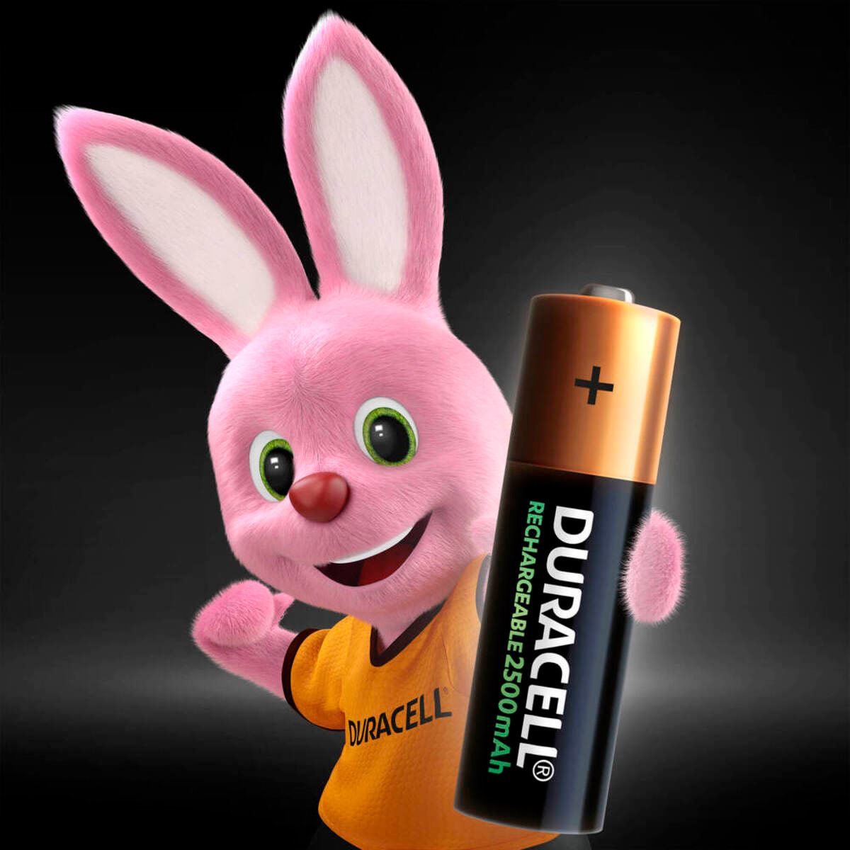 Pila Duracell Recargable AA 2 piezas