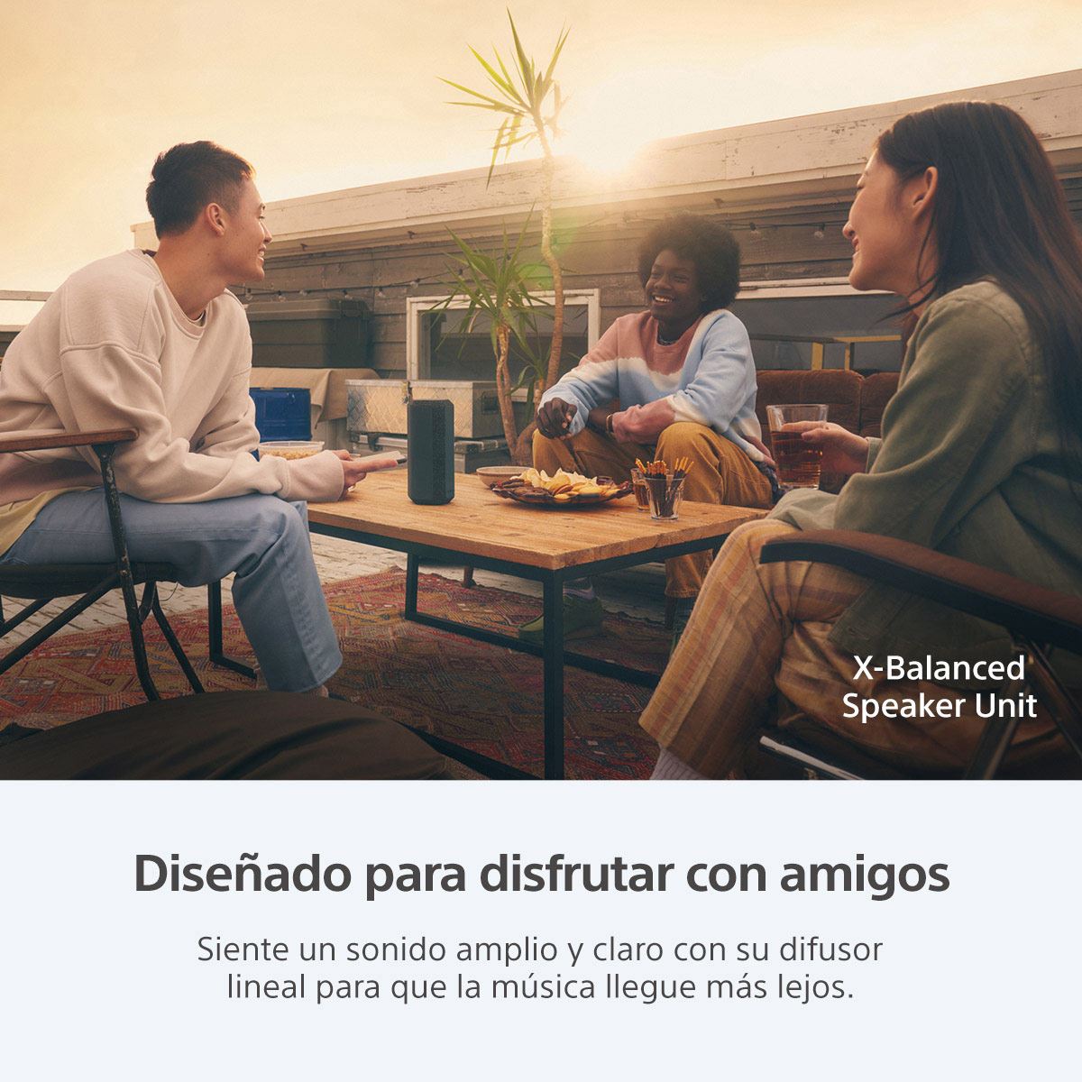 Bocina Sony Portatil XE 300 negra