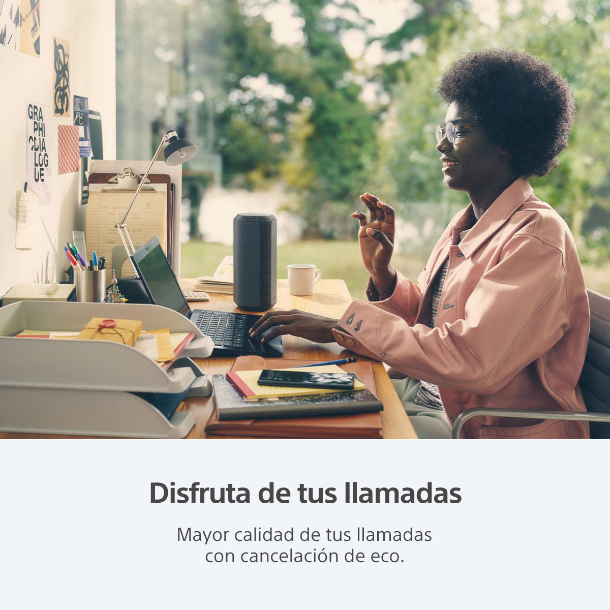 Bocina Sony Portatil XE 300 negra