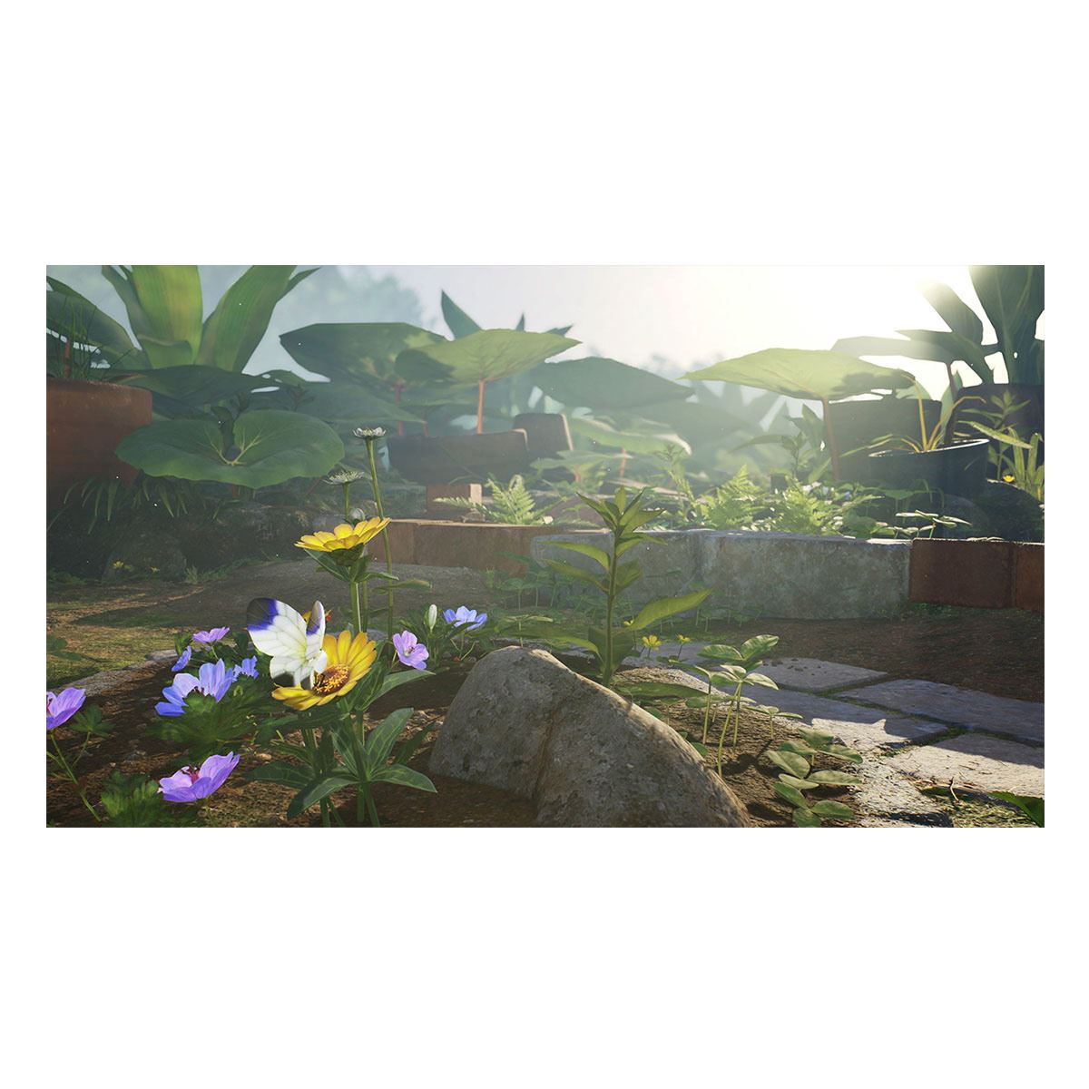 Pikmin 4 - Nintendo Switch