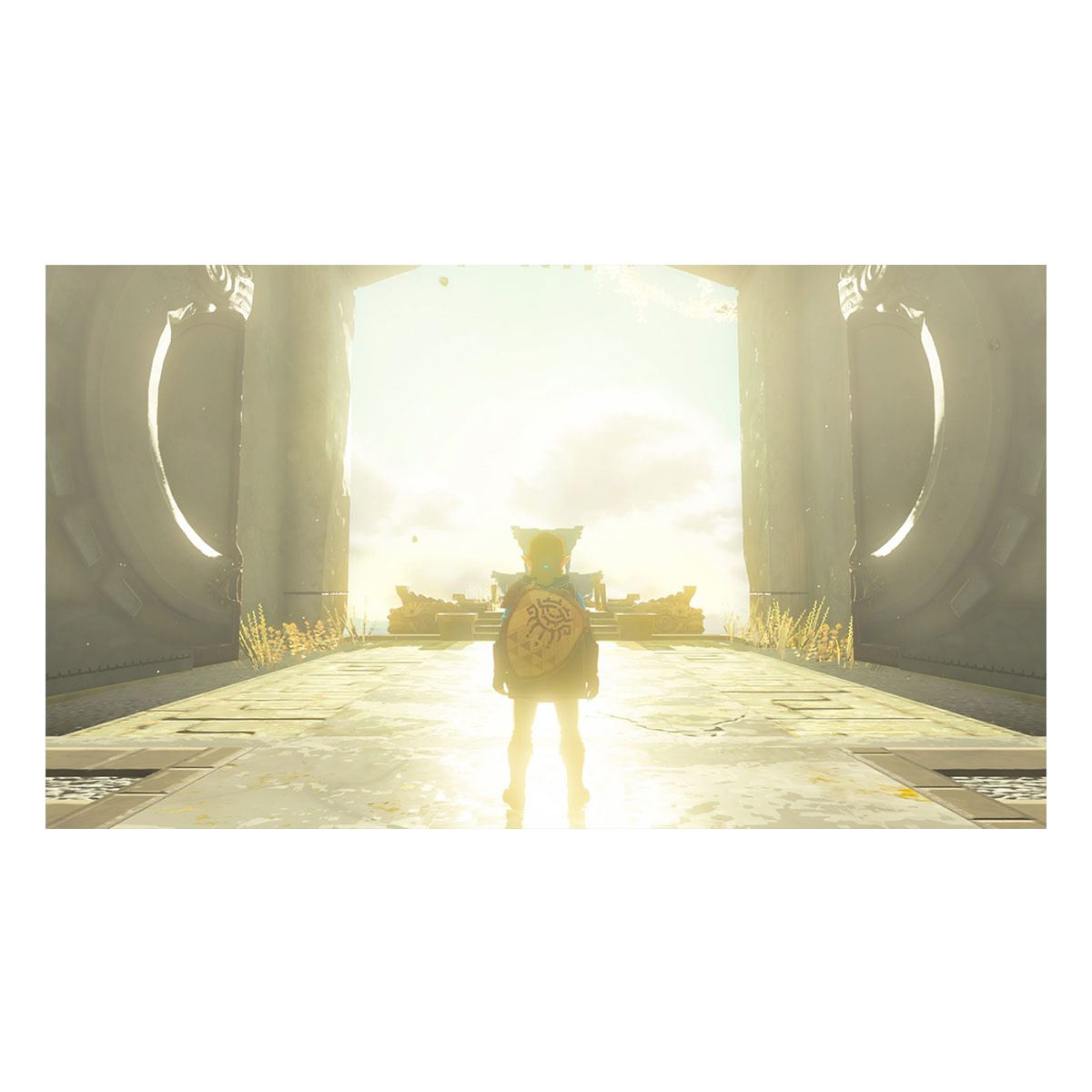 The legend of Zelda: Tears of the kingdom - Nintendo Switch