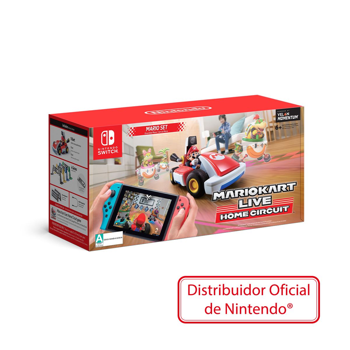 Mario Kart Live Home Circuit Mario