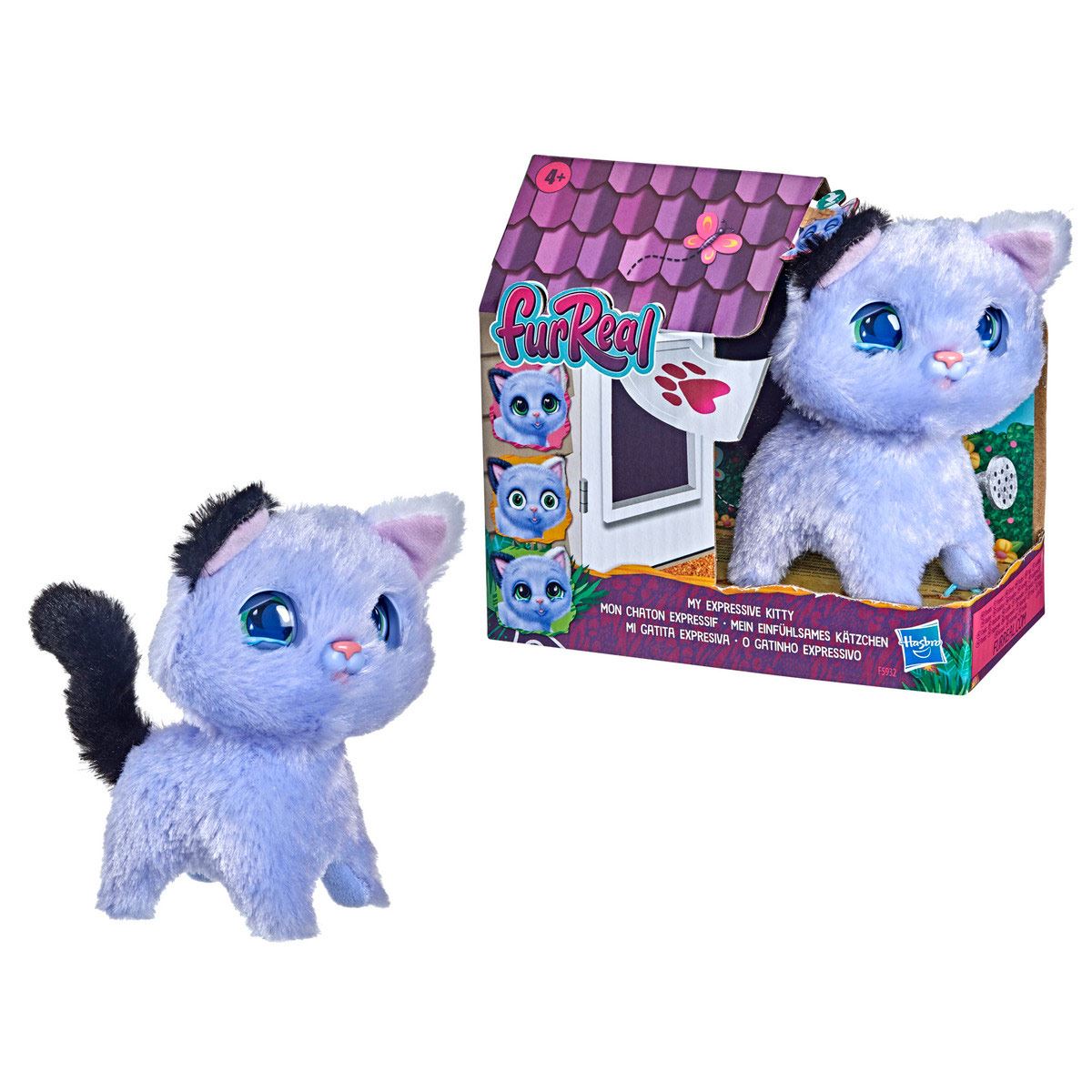 FRR MY EXPRESSIVE KITTY
