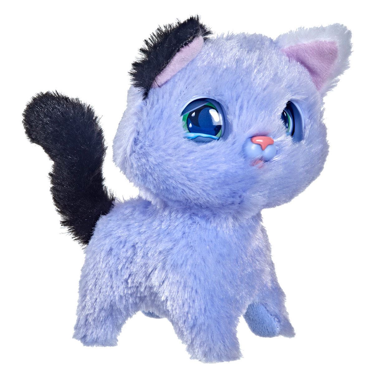 FRR MY EXPRESSIVE KITTY