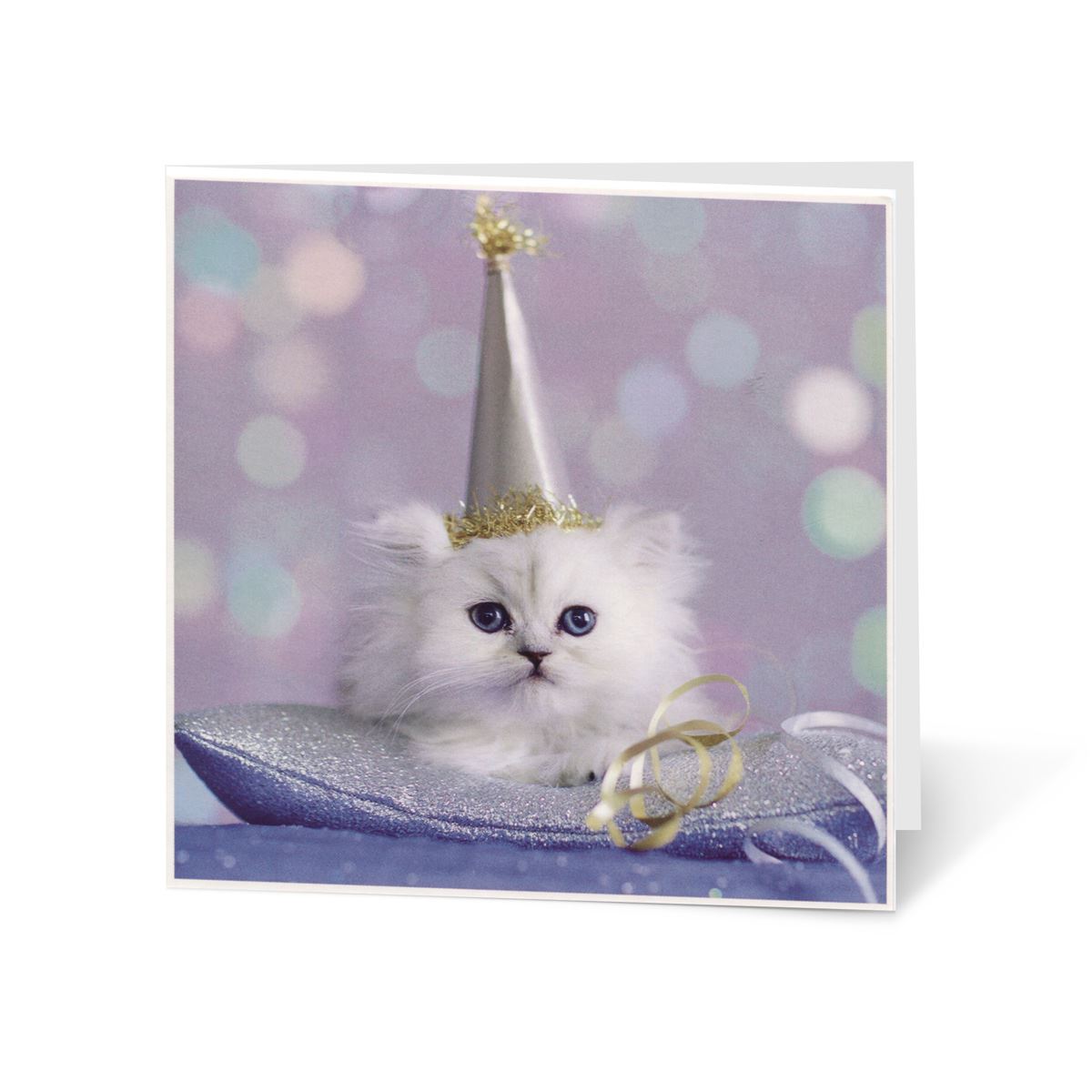 Tarjeta En Blanco Gatito Con Gorro Fiesta