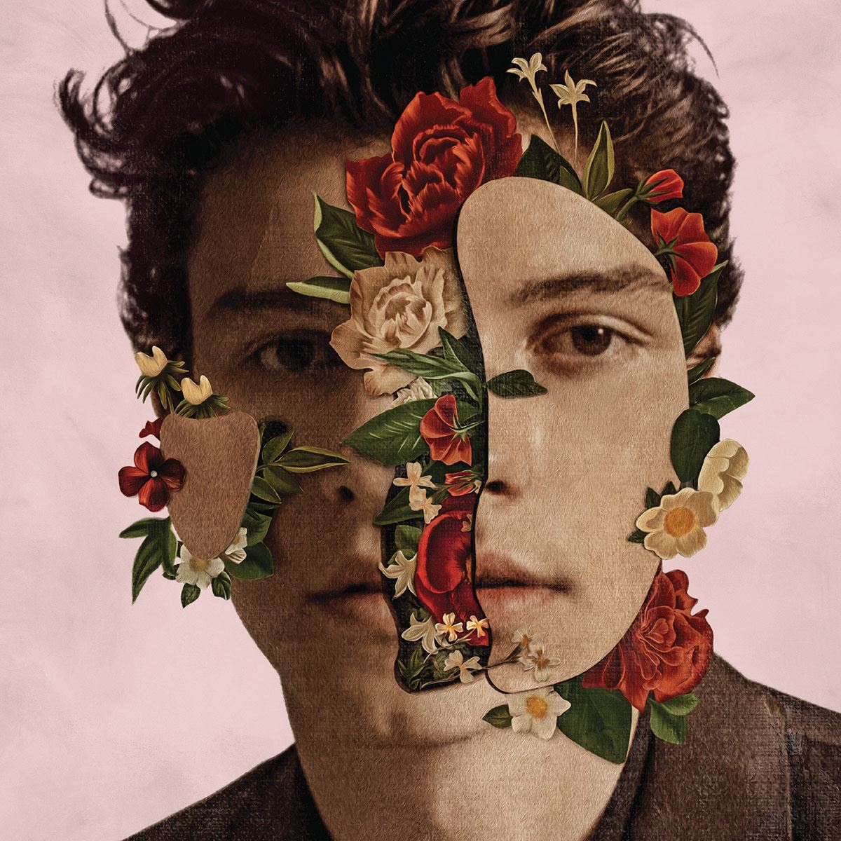 Cd Shawn Mendes - Shawn Mendes