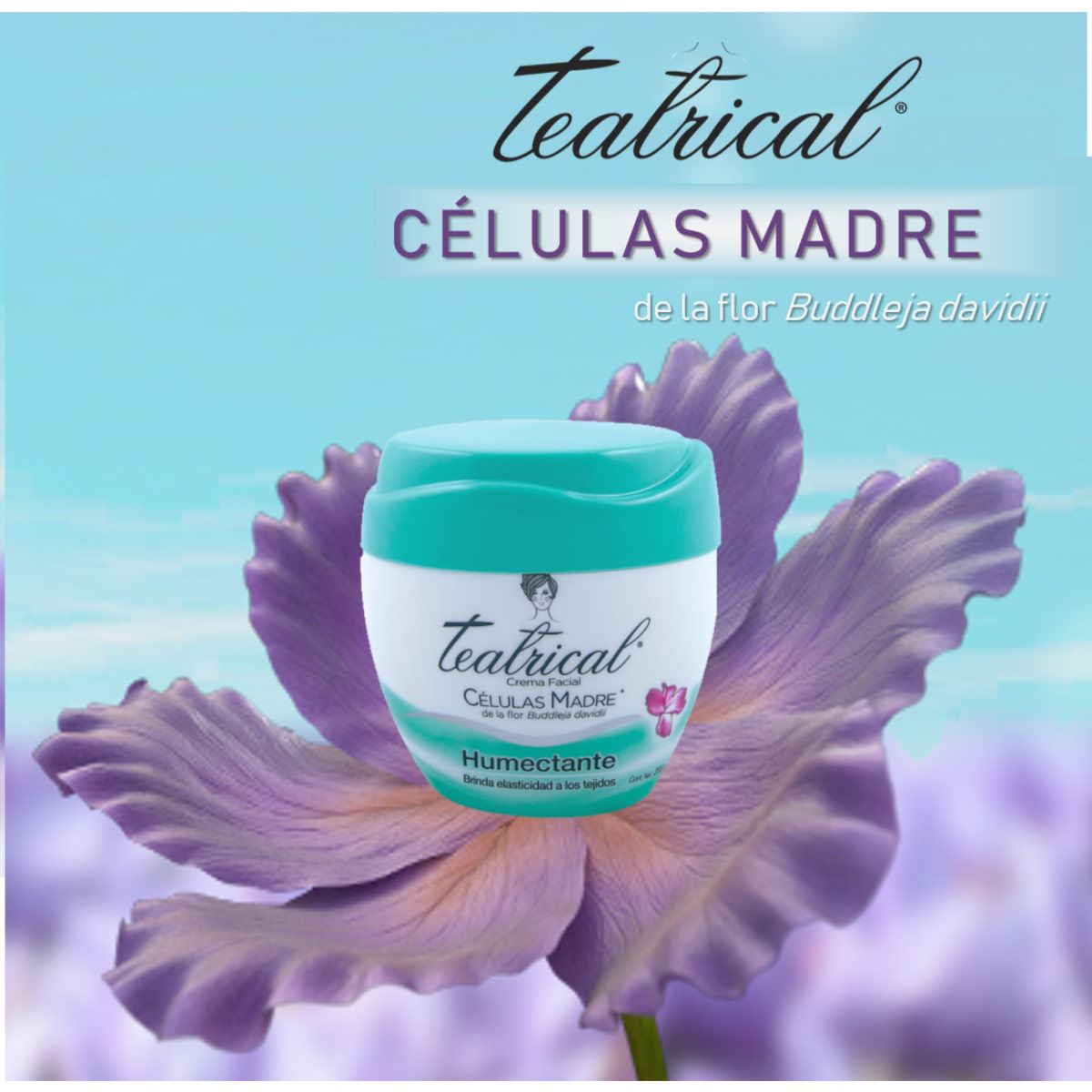 Teatrical Células Madre Humectante 100gr