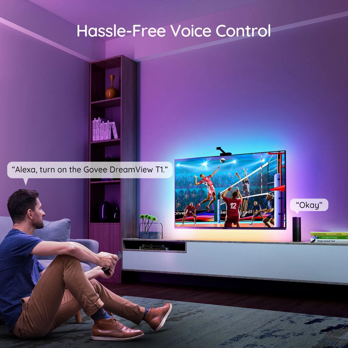 Sistema led Govee TV efecto inmersivo 55-65 pulgadas