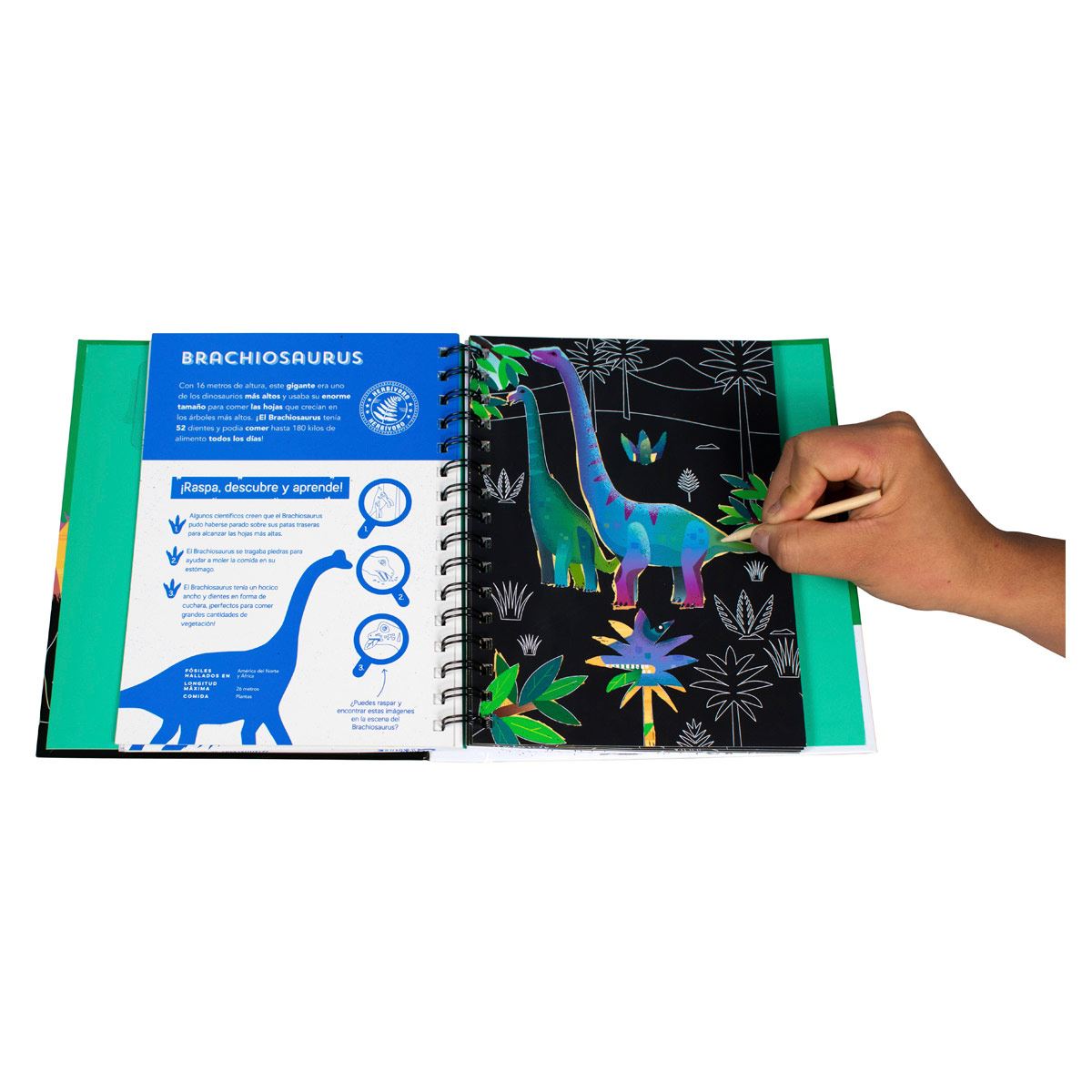 Raspa Descubre Y Aprende Dinosaurio