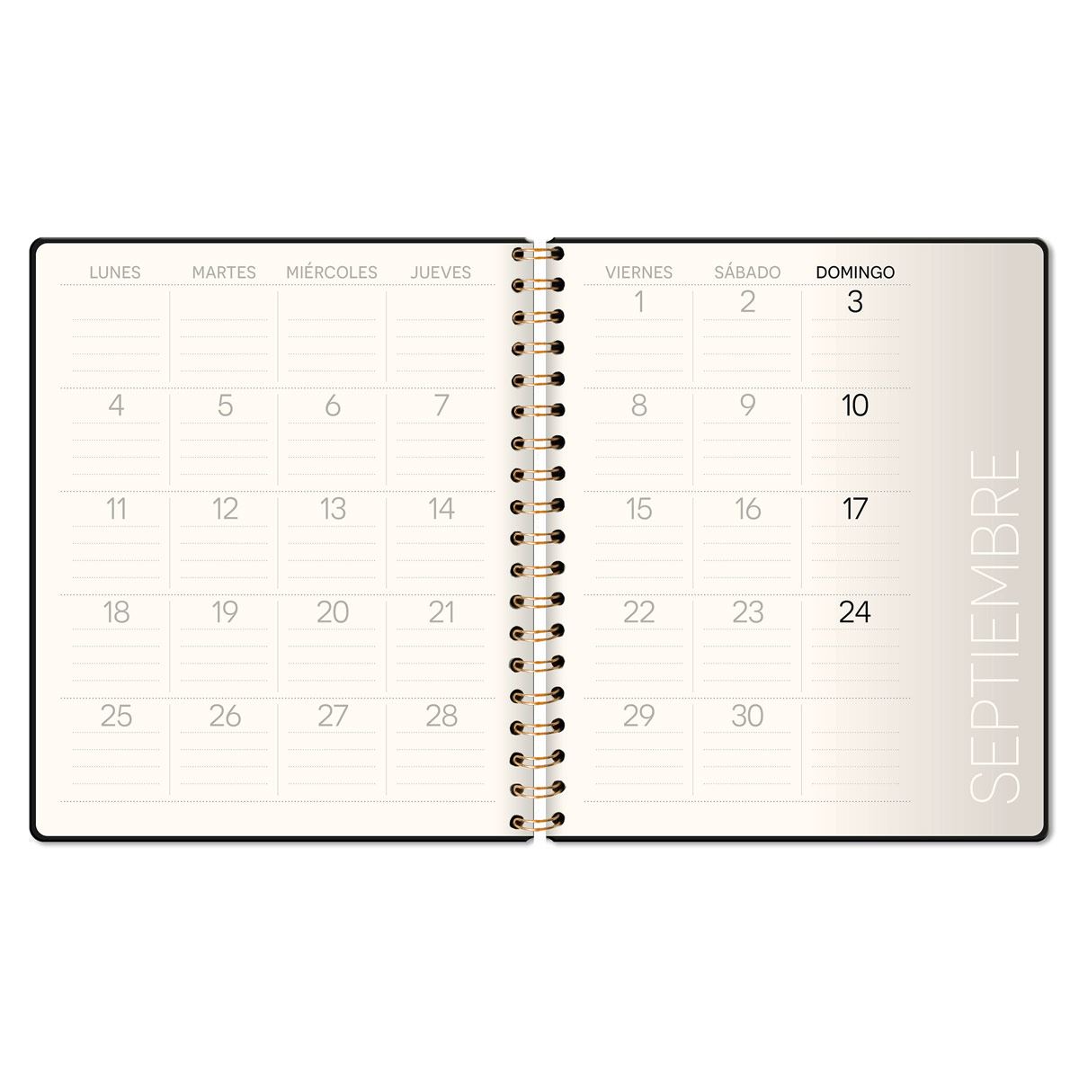 Agenda Premium Paper PU Espiral Cuaderno Semanal Rosa