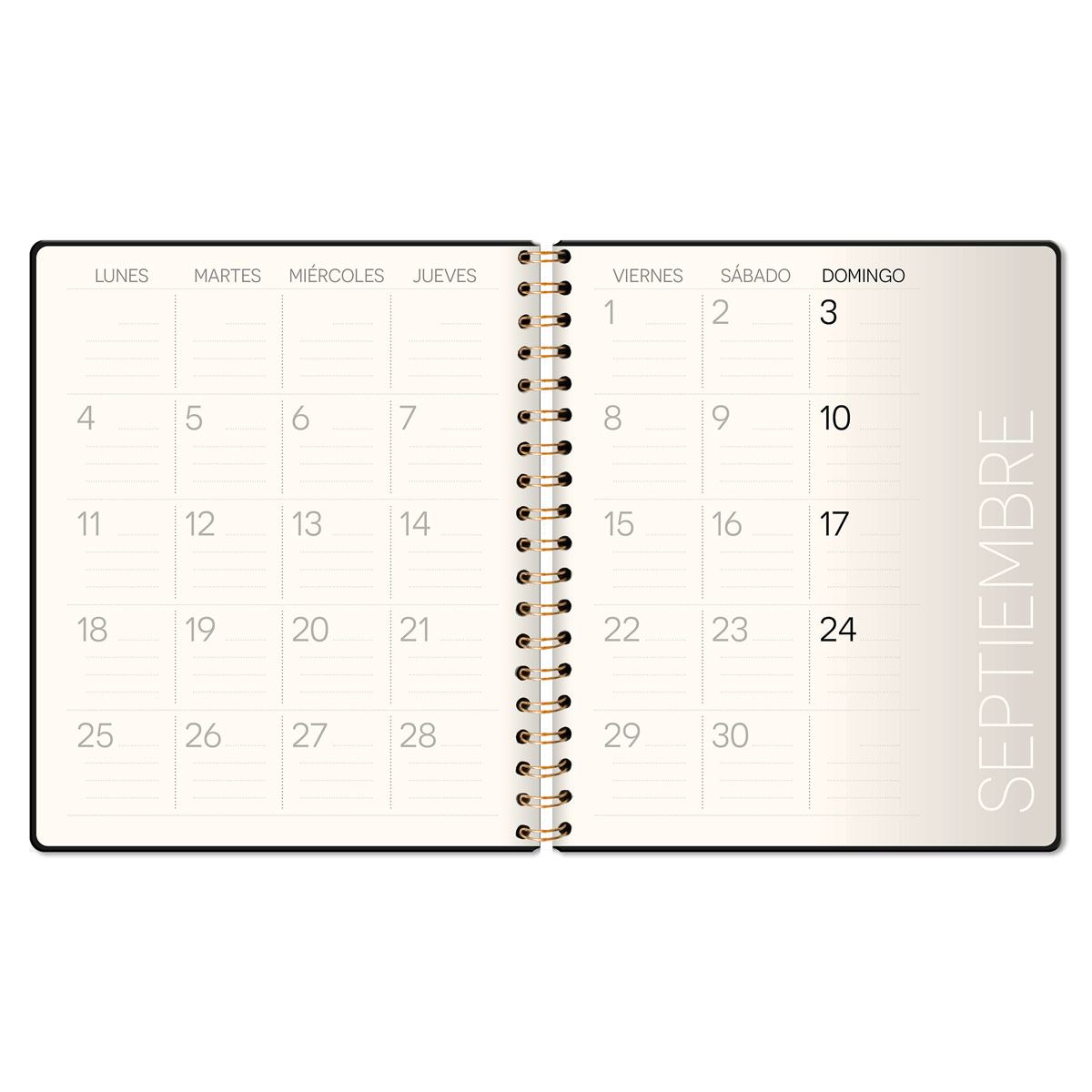 Agenda Premium Paper PU Espiral Cuaderno Diaria Rosa