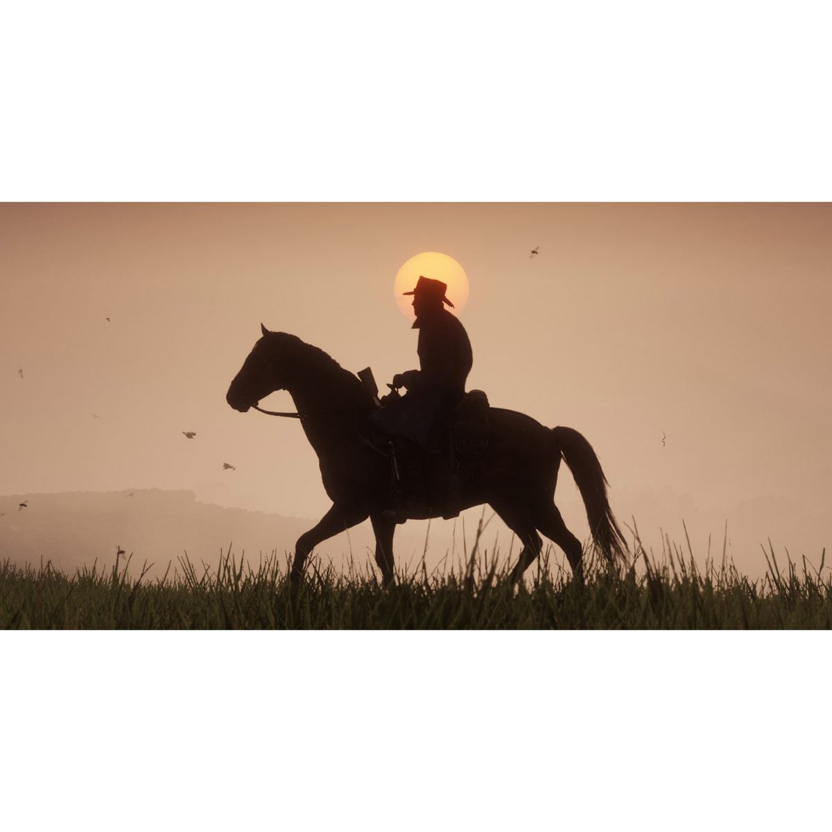 Xbox One Red Dead Redemption 2
