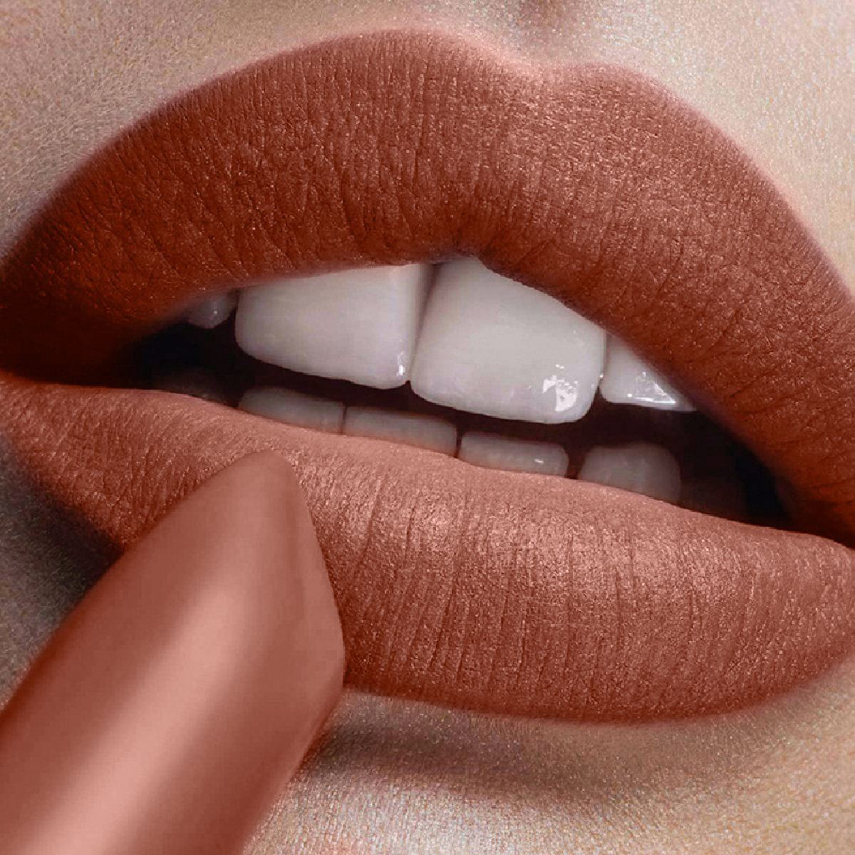 Labial L'Oréal Paris Color Riche Mate 806 Matte Itude 3.6g
