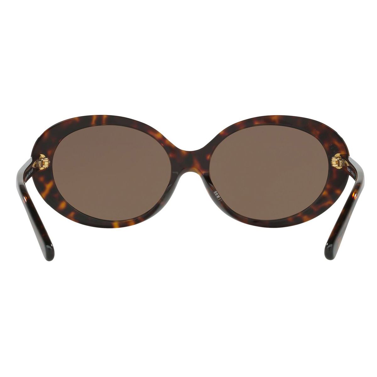 Lentes Solares Coach Armazón de Acetato Habana